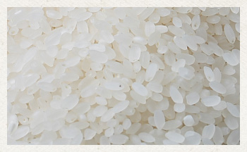 洋食におすすめ！ななつぼし