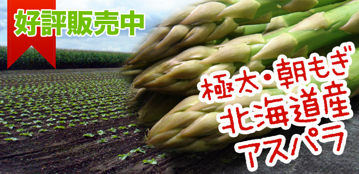 北海道栗山産アスパラ