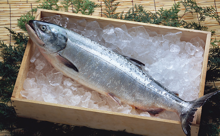 北海道から送るお歳暮！年末年始のごちそうにも！海産物ギフト特集の通販・お取り寄せなら|北海道 旬の幸