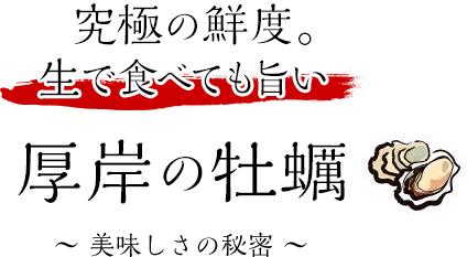 ݂̉y ̔閧