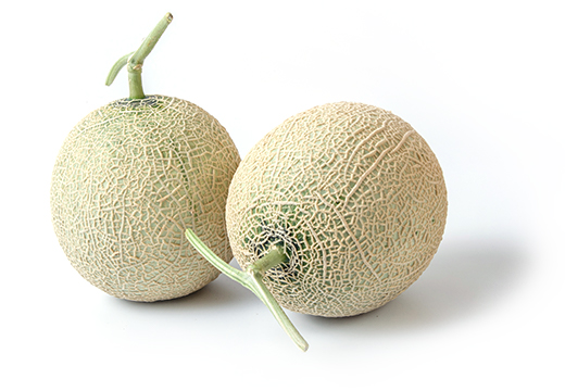 melon_img_01