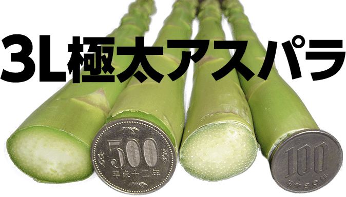 北海道産アスパラガス（L～極太3Lサイズ）の通販・お取り寄せ