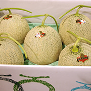 melon_pict_02