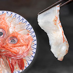 nabe-feature_05