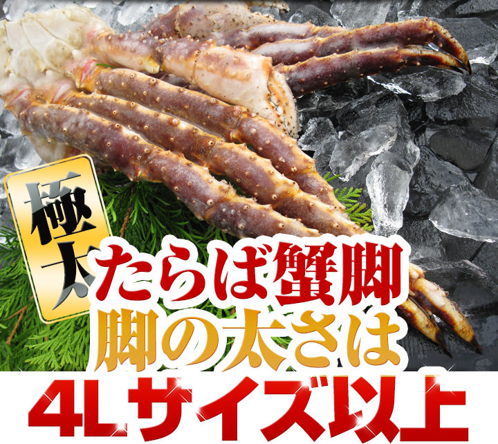本タラバガニ足の通販 お取り寄せなら 北海道 旬の幸