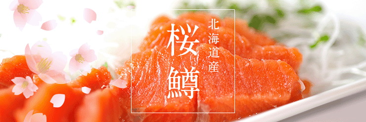 北海道産サクラマス