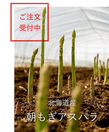 北海道産アスパラガス（L～極太３Lサイズ）