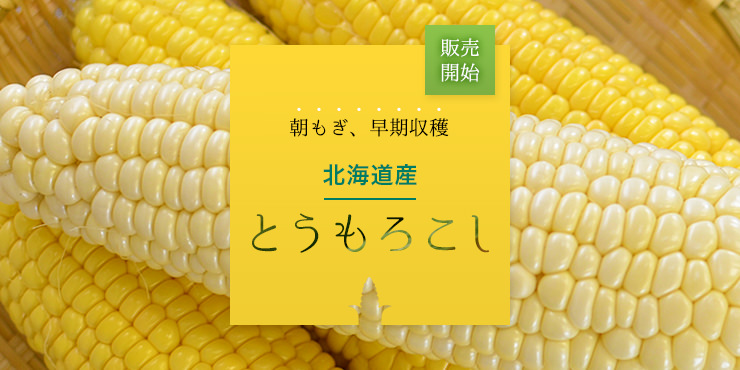 北海道産とうもろこし