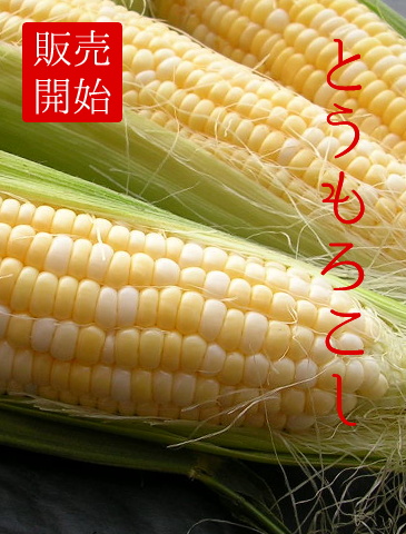 北海道産とうもろこし