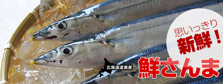 北海道産鮮さんま