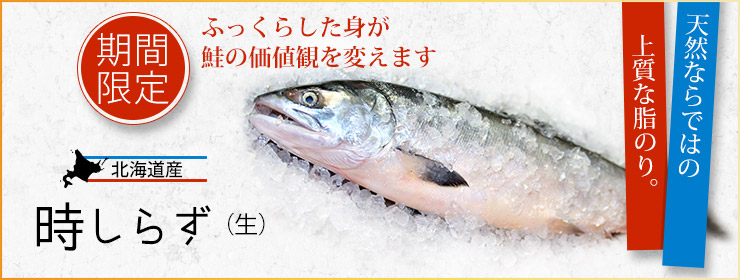 時しらず