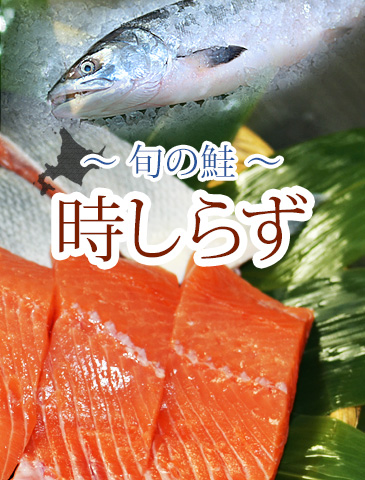 北海道産時しらず（時鮭）