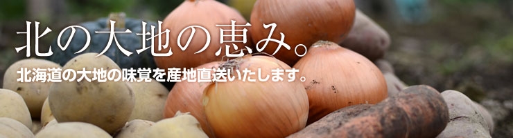 北海道産旬野菜セット