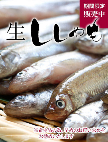 北海道産生ししゃも