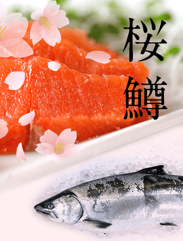 北海道産サクラマス
