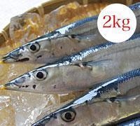 kCYIN11Oi2jywsz