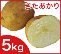 kCjZRY Ⴊ 5kg@