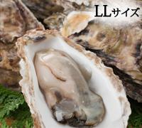 厚岸産殻付牡蠣（LLサイズ）15個