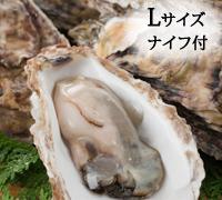 厚岸産殻付牡蠣（Lサイズ）15個【牡蠣ナイフ付き】