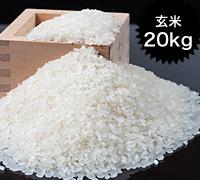 北海道蘭越産ゆめぴりか20kg（玄米）