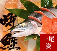 時しらず 時鮭 の通販 お取り寄せなら 北海道 旬の幸 時しらず 時鮭 の通販 お取り寄せなら 北海道 旬の幸