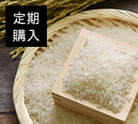 【定期購入】北海道蘭越産きたくりん5kg（玄米）
