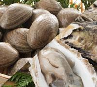 厚岸産 牡蠣とあさりのお得セット