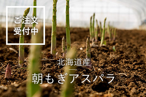 北海道産アスパラ