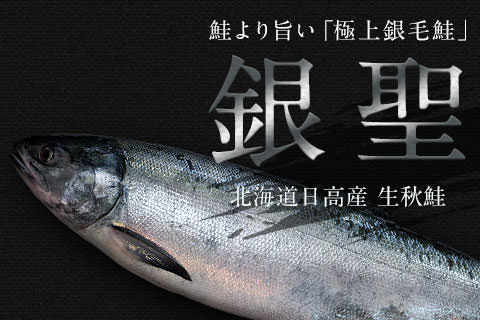 北海道日高産生秋鮭（銀聖）