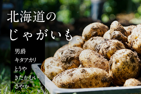 北海道ニセコ産じゃがいも