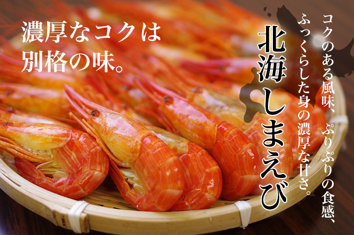 北海しまえび