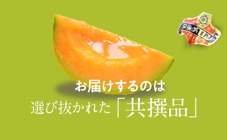 地域によって値引き】夕張メロン共撰品秀品4玉 1玉約2kg※掲載は九州