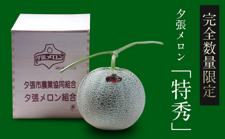 お中元ギフト・贈り物にも！北海道夕張メロン（共選品）|特秀品・秀品