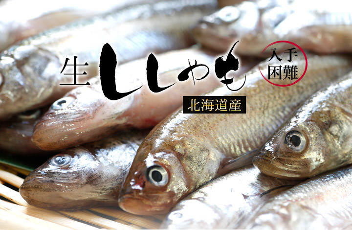 北海道産！生ししゃも・大黒ししゃもの通販・お取り寄せなら|北海道 旬の幸