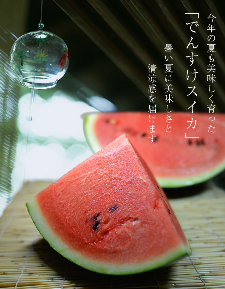 お中元ギフト・贈り物にも！北海道産でんすけすいか 秀品の通販・お
