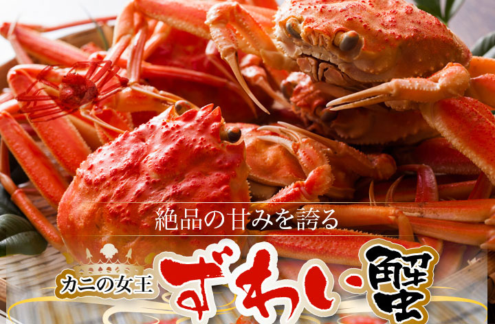 特大】 本ズワイガニ（姿）の通販・お取り寄せなら|北海道 旬の幸